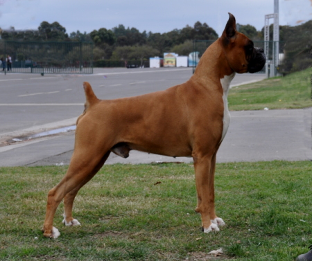 Bismark
