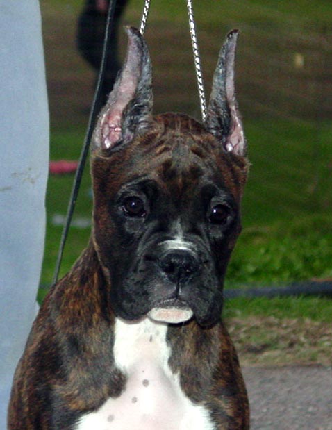 Gable